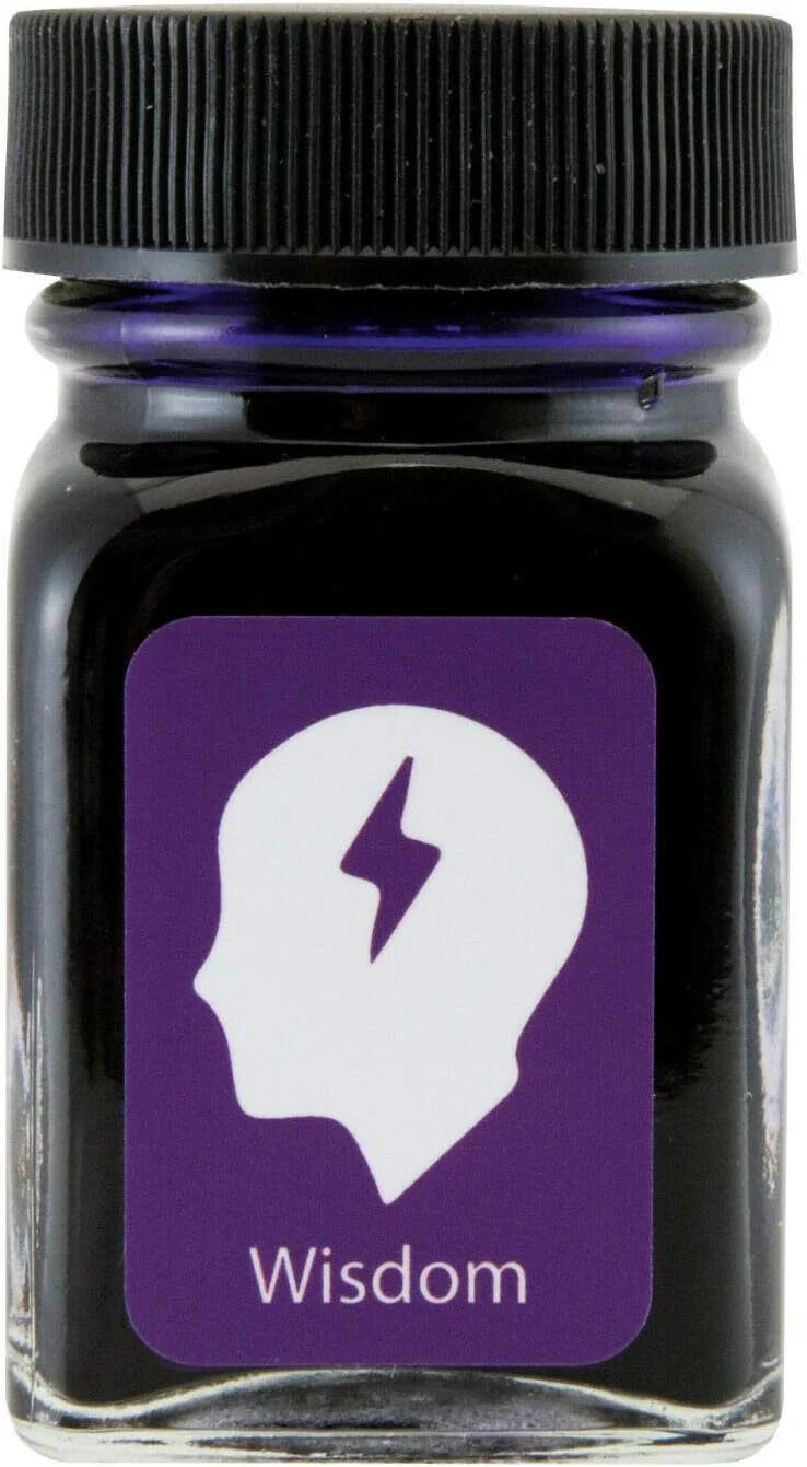 Monteverde Ink Bottle 30ml Emotions Collection - Wisdom Purple
