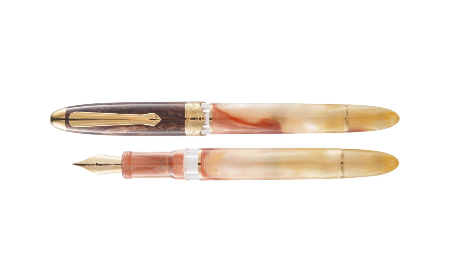 Nahvalur (Narwhal) Horizon Desert Fountain Pen