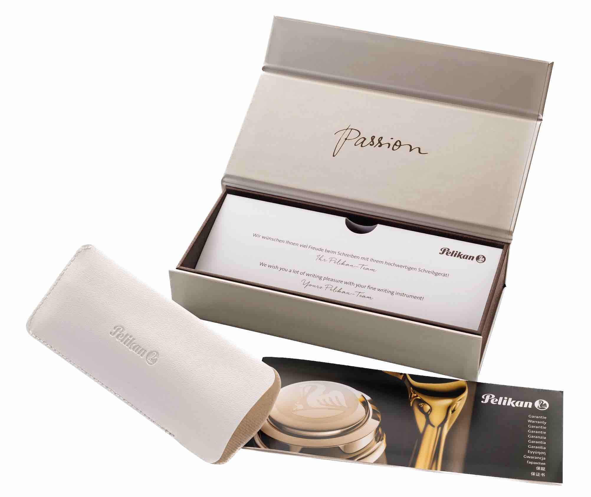 Pelikan Special Edition Souverän M670 Warm Grey Fountain Pen - Image 3