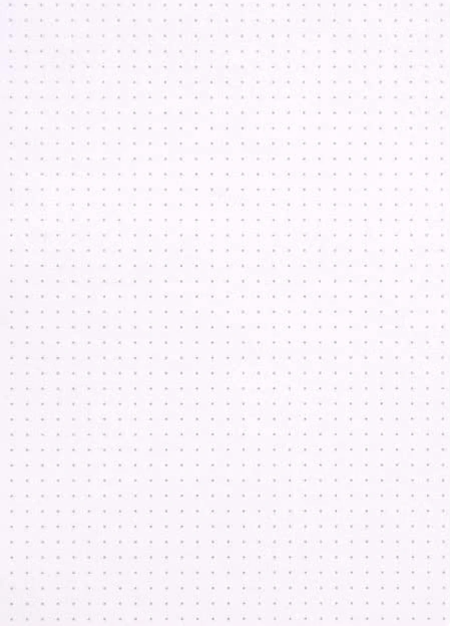 Rhodia Side-Stapled Dot Notebooks A5 - Image 2